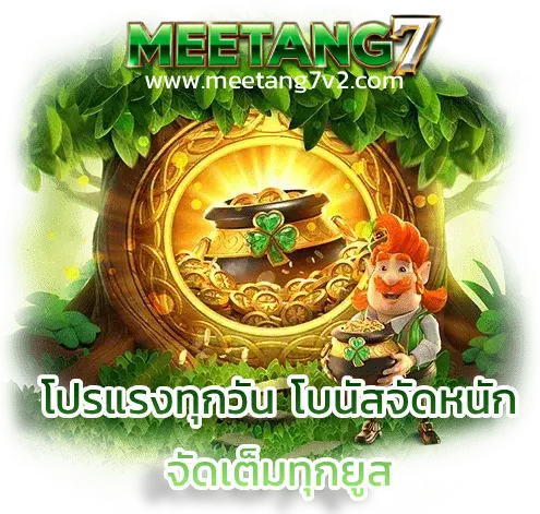 MEETANG7 เครดิตฟรี